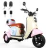MOTOBICI ELÉCTRICA 3 RUEDAS HONEY WHALE V1 - Imagen 8