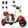 MOTOBICI ELÉCTRICA 3 RUEDAS HONEY WHALE V1