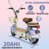 MOTOBICI ELÉCTRICA HONEY WHALE U4S - Imagen 4
