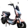 BICICLETA ELECTRICA MODELO AGUILA - Imagen 3