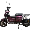 Bicicleta Eléctrica ZEUS - Imagen 2