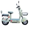 Bicicleta Eléctrica PRIMAVERA - Imagen 11