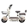 Bicicleta Eléctrica PRIMAVERA - Imagen 10